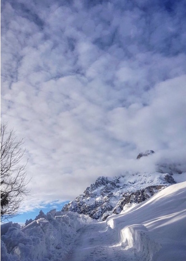 immagini/galleria immagini/FullSizeRender 7 - Rifugio Costapiana - Valle di Cadore